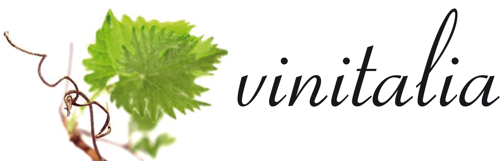 logo_vinitalia_ohne